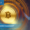  Is Bitcoin a Golden Investment?