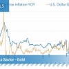 Central Banks Savior - Gold