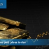 Anxiety causes gold prices to rise